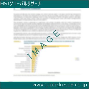 グローバルリサーチ調査レポートのイメージ